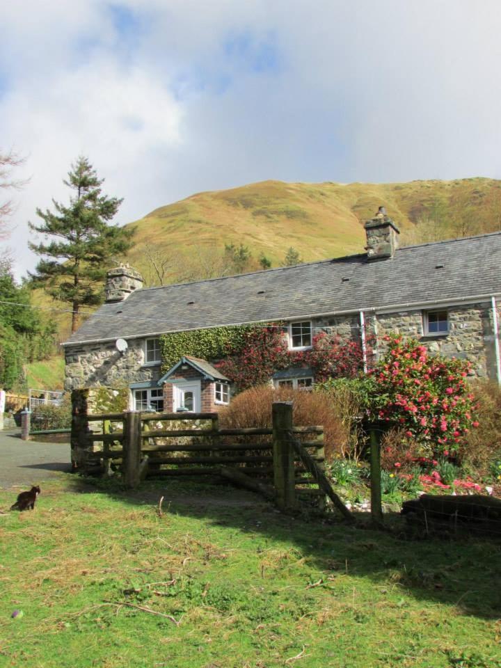 Bryn Sion Farm Βίλα Dinas Mawddwy Εξωτερικό φωτογραφία